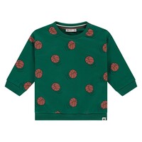 Babyface boys sweatshirt turtle