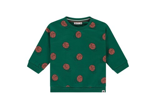 Babyface Babyface boys sweatshirt turtle Babyface Babyface boys sweatshirt turtle