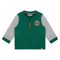 Babyface boys sweatshirt turtlee