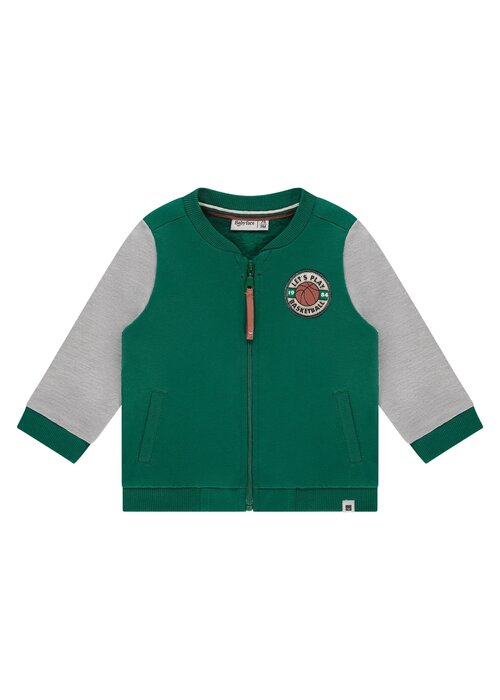 Babyface Babyface boys sweatshirt turtlee