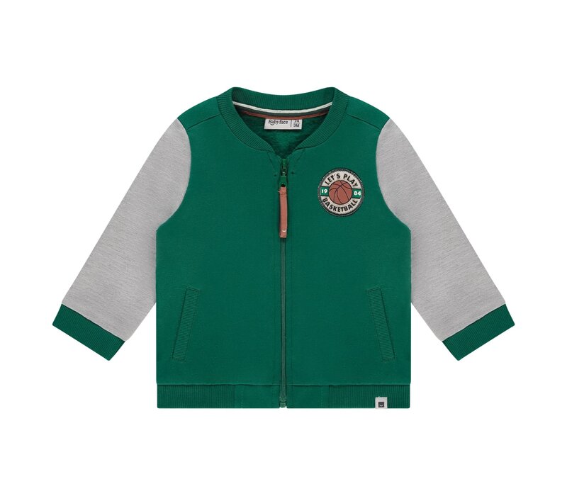 Babyface boys sweatshirt turtlee