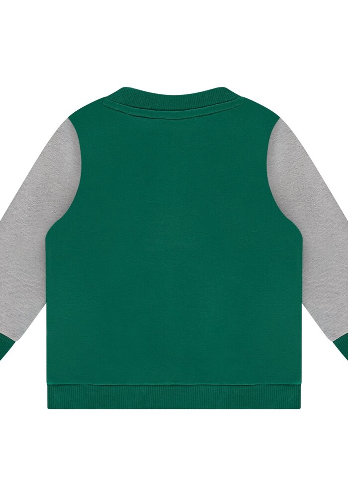 Babyface boys sweatshirt turtlee