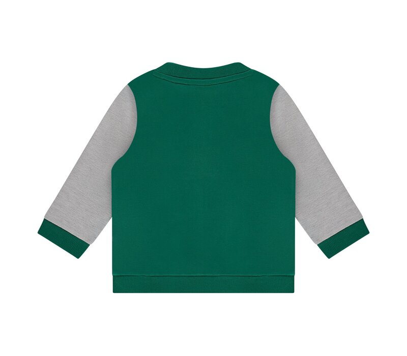 Babyface boys sweatshirt turtlee