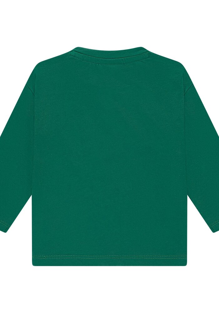 Babyface boys t-shirt long sleeve turtle
