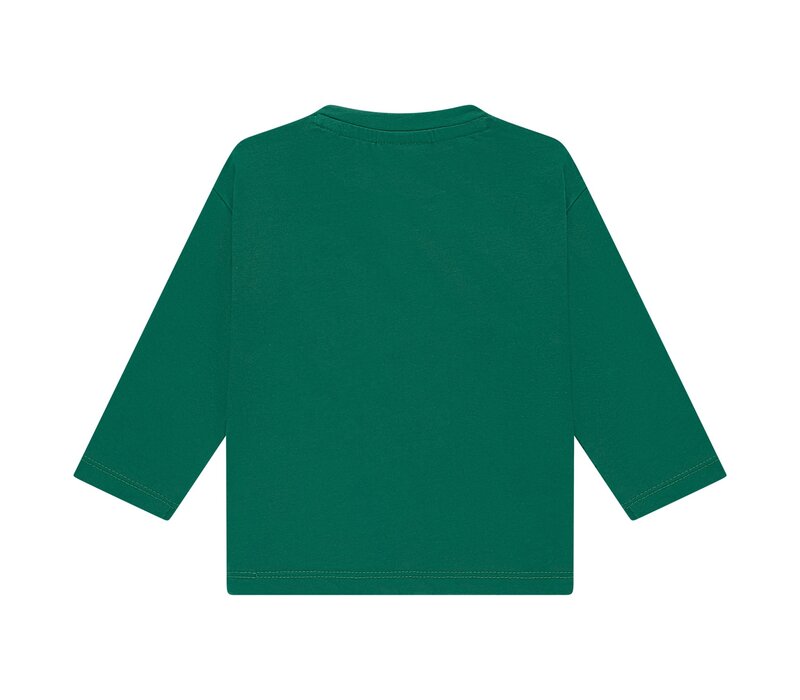 Babyface boys t-shirt long sleeve turtle