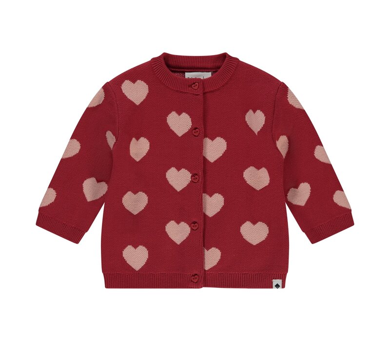 Babyface girls cardigan Scarlet