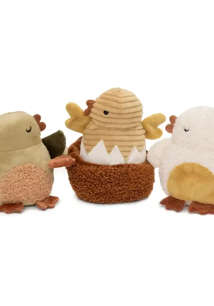 Jollein Hide and Seek Activiteitenspeeltje Set - Tiny Park