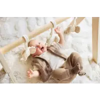 Jollein Babygym Speeltjes - Elephant Tales