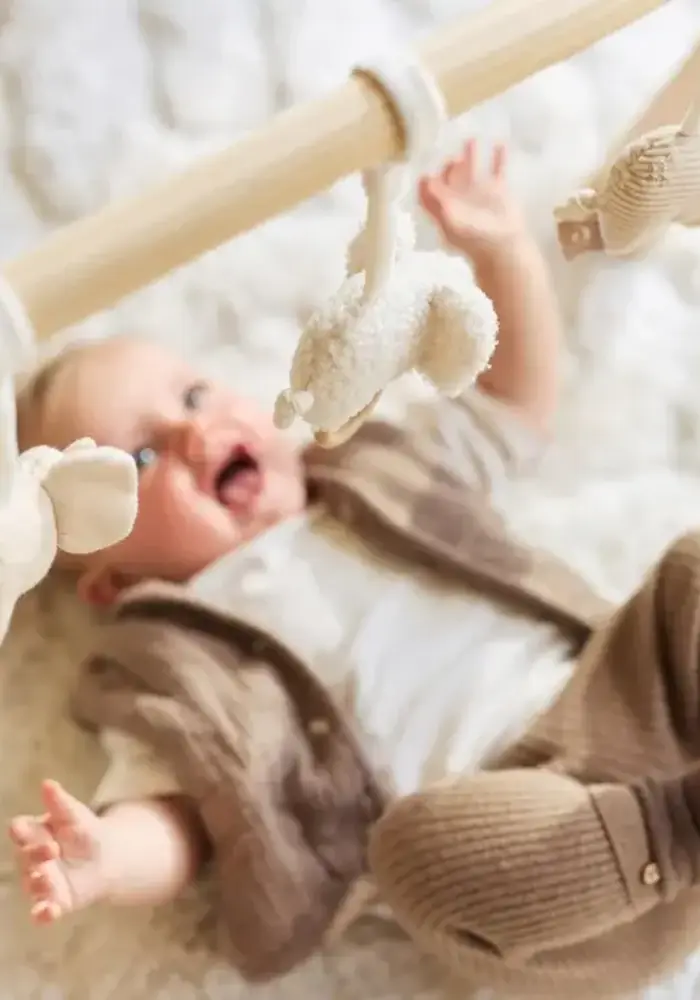 Jollein Babygym Speeltjes - Elephant Tales