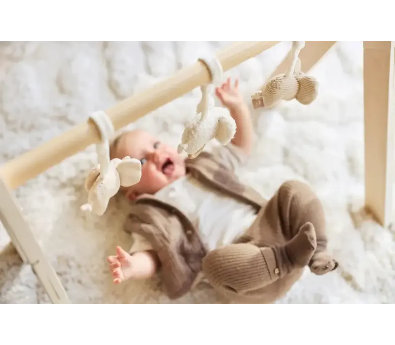 Jollein Babygym Speeltjes - Elephant Tales
