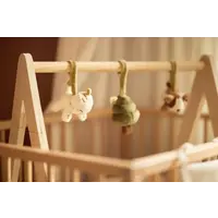 Jollein Babygym Speeltjes - Tiny Park