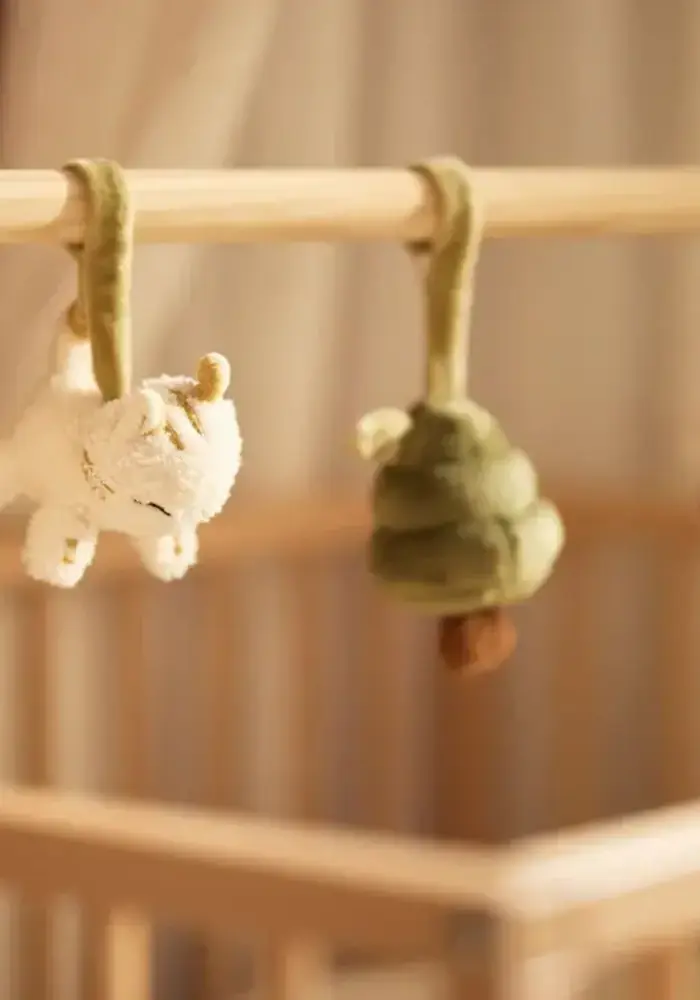 Jollein Babygym Speeltjes - Tiny Park