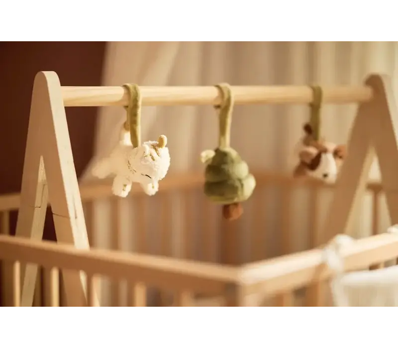 Jollein Babygym Speeltjes - Tiny Park