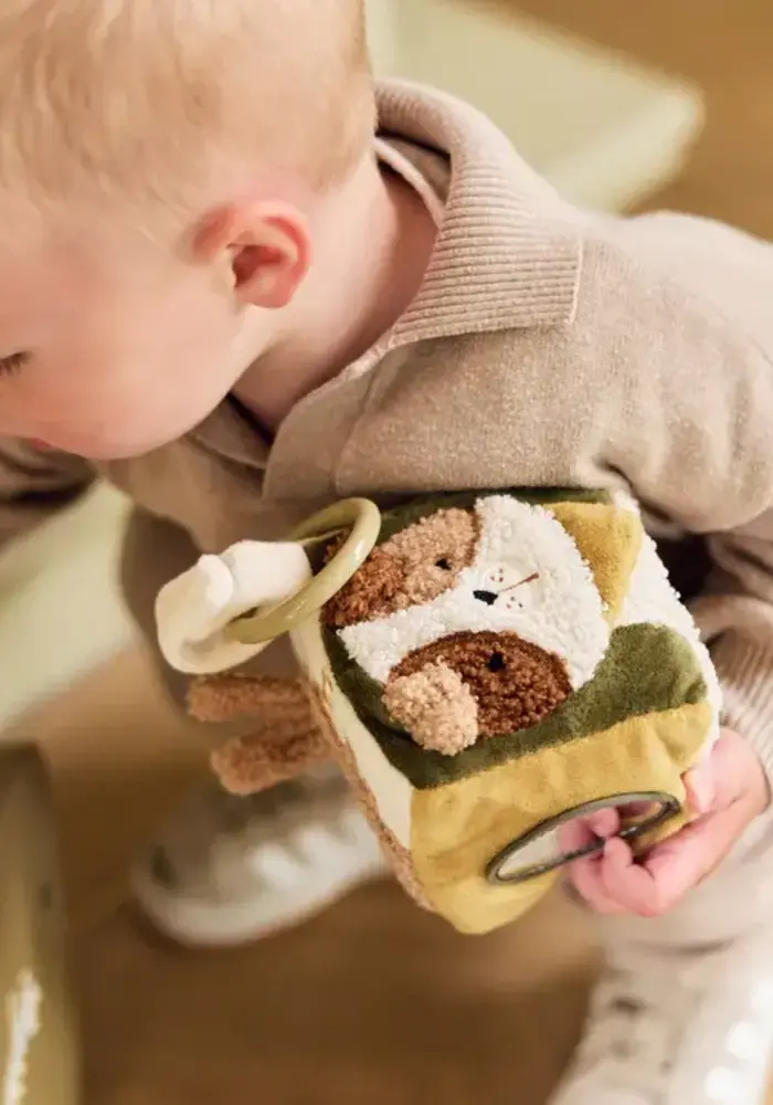 Jollein Activiteitenkubus - Tiny Park