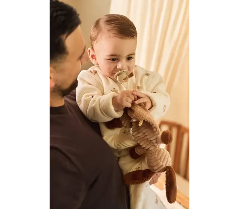 Jollein Speendoekje - Diego