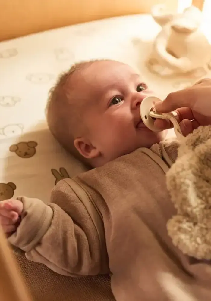 Jollein Speendoekje - Elephant Tales