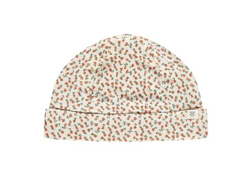 A TINY STORY A TINY STORY baby hat snow