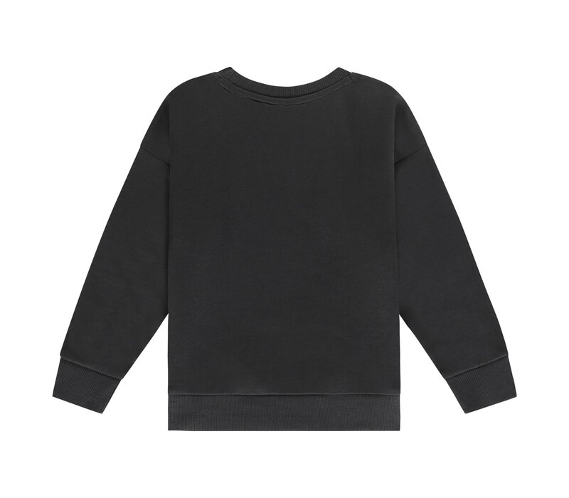 Stains and Stories boys sweatshirt antra 1