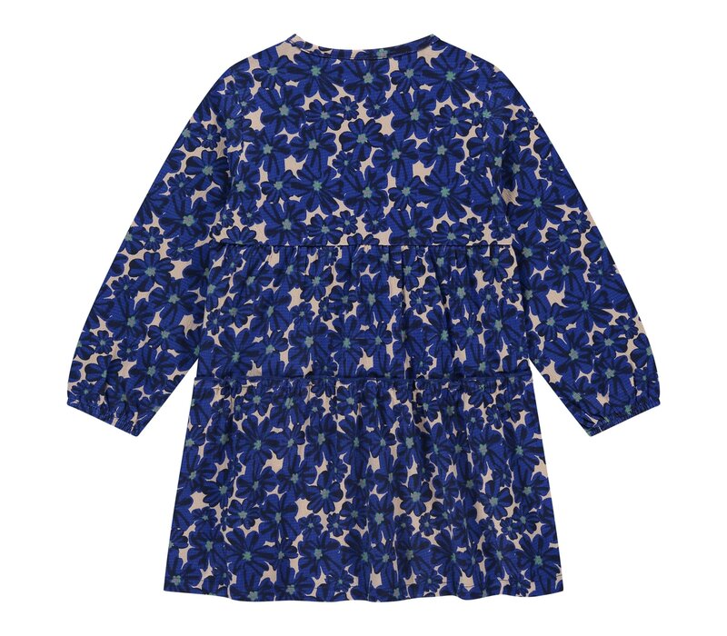 Stains and Stories girls dress long sleeve cobalt
