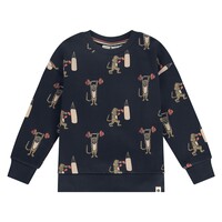 Stains and Stories boys sweatshirt night