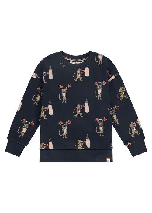 STAINS AND STORIES Stains and Stories boys sweatshirt night