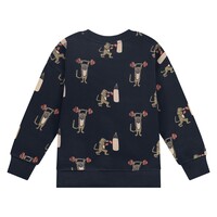 Stains and Stories boys sweatshirt night