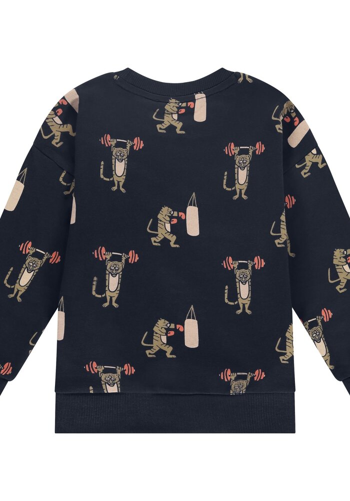 Stains and Stories boys sweatshirt night