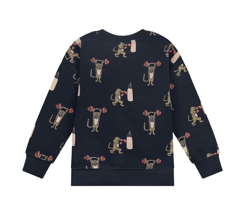 Stains and Stories boys sweatshirt night