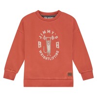 Stains and Stories boys sweatshirt pomegranate
