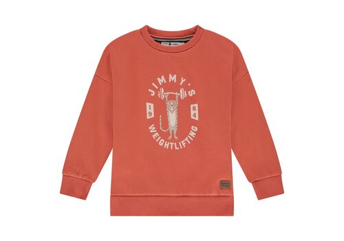STAINS AND STORIES Stains and Stories boys sweatshirt pomegranate STAINS AND STORIES Stains and Stories boys sweatshirt pomegranate