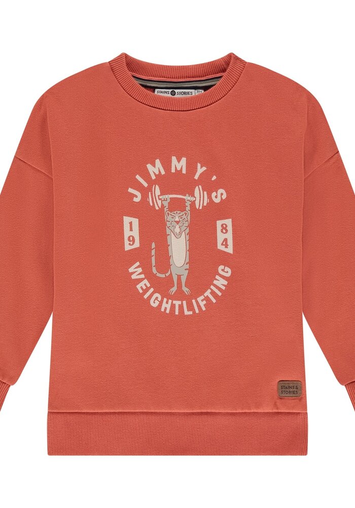 Stains and Stories boys sweatshirt pomegranate