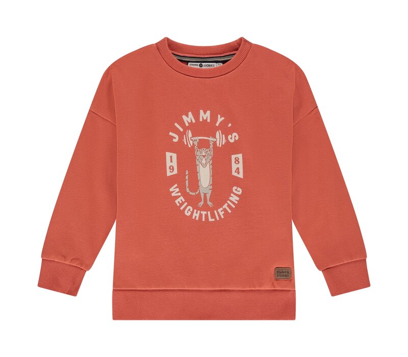 Stains and Stories boys sweatshirt pomegranate