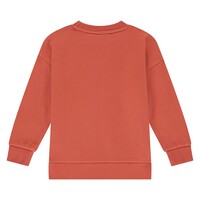 Stains and Stories boys sweatshirt pomegranate