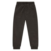 Stains and Stories boys pants Desert