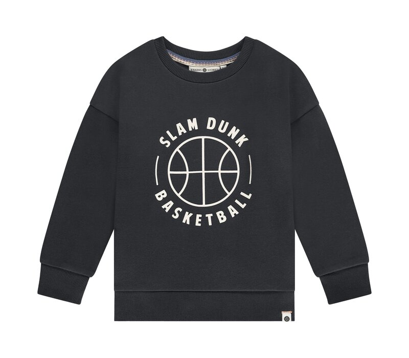 Stains and Stories boys sweatshirt antra