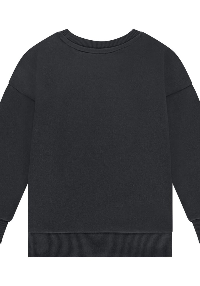 Stains and Stories boys sweatshirt antra