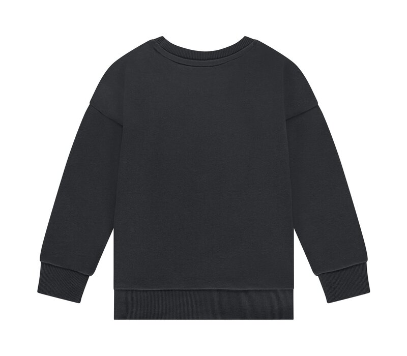 Stains and Stories boys sweatshirt antra