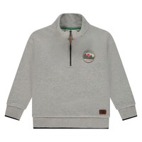 Stains and Stories boys sweatshirt Grey Melee