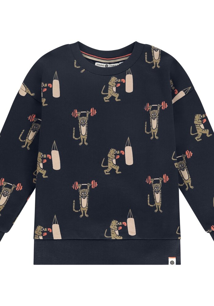 Stains and Stories boys sweatshirt night