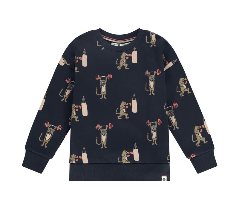 Stains and Stories boys sweatshirt night