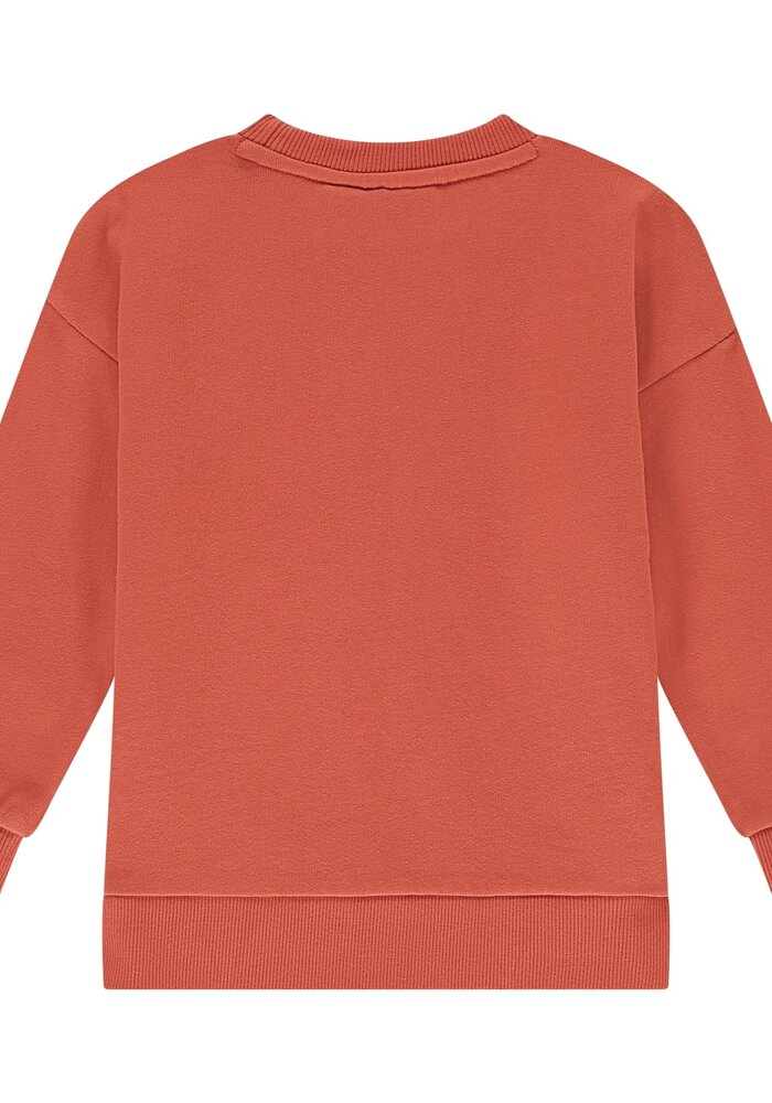 Stains and Stories boys sweatshirt pomegranate