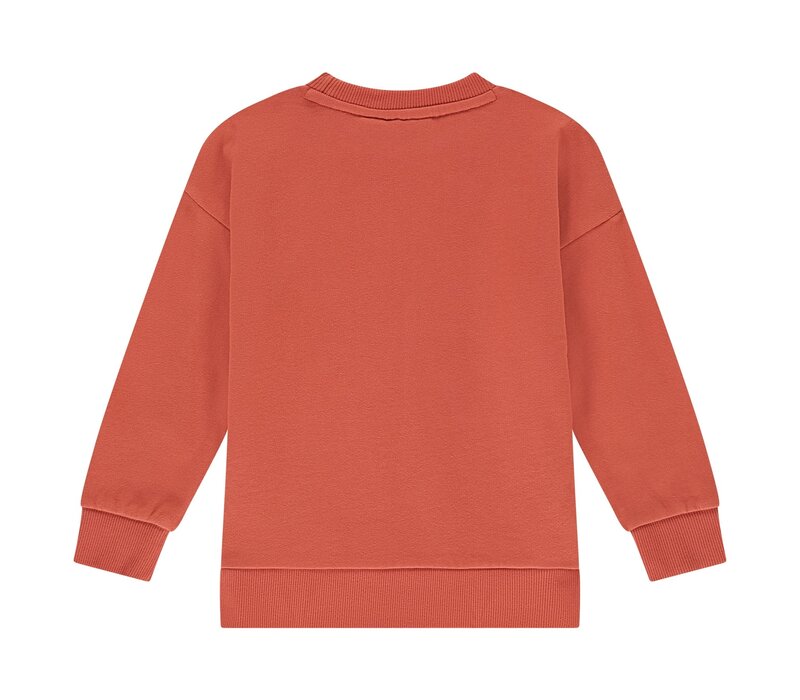 Stains and Stories boys sweatshirt pomegranate
