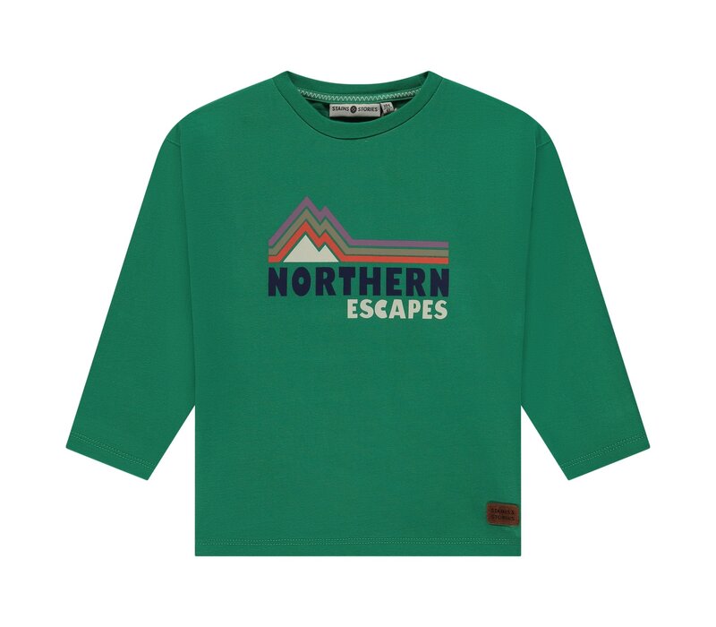 Stains and Stories boys t-shirt long sleeve Grass