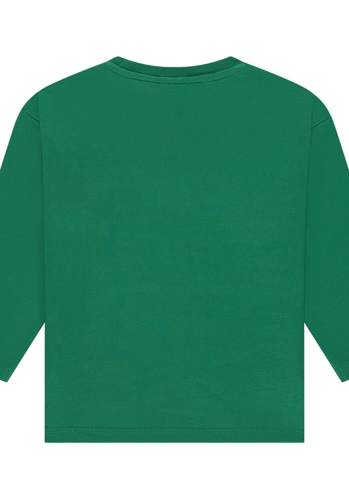 Stains and Stories boys t-shirt long sleeve Grass