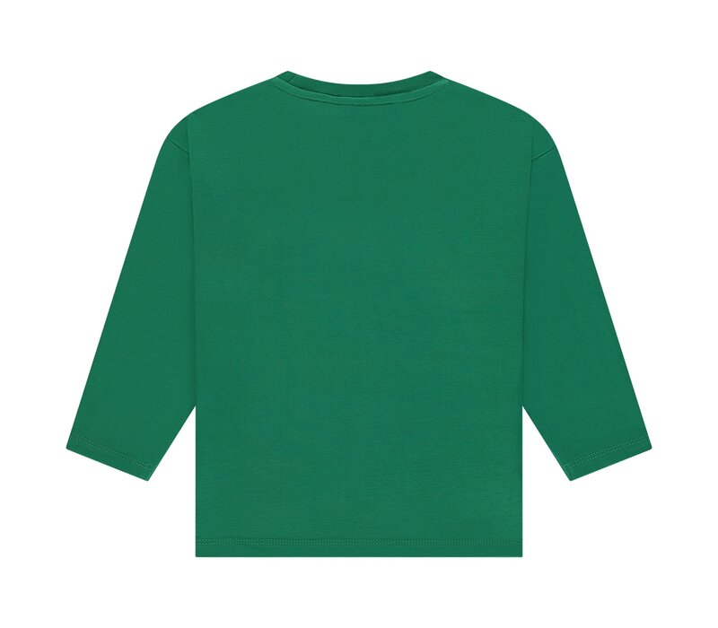 Stains and Stories boys t-shirt long sleeve Grass