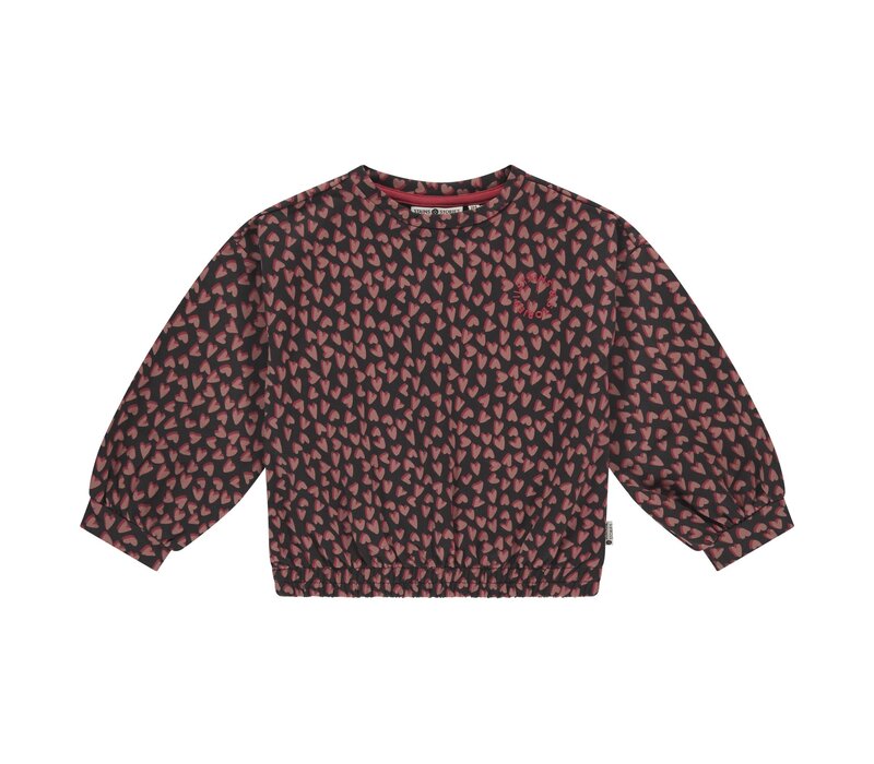 Stains and Stories girls sweatshirt Blackboard