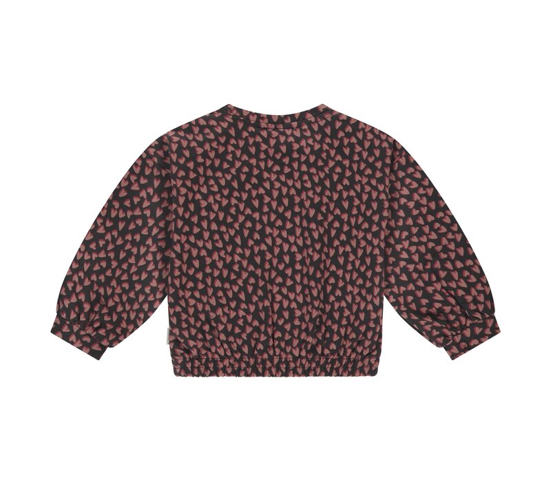 Stains and Stories girls sweatshirt Blackboard