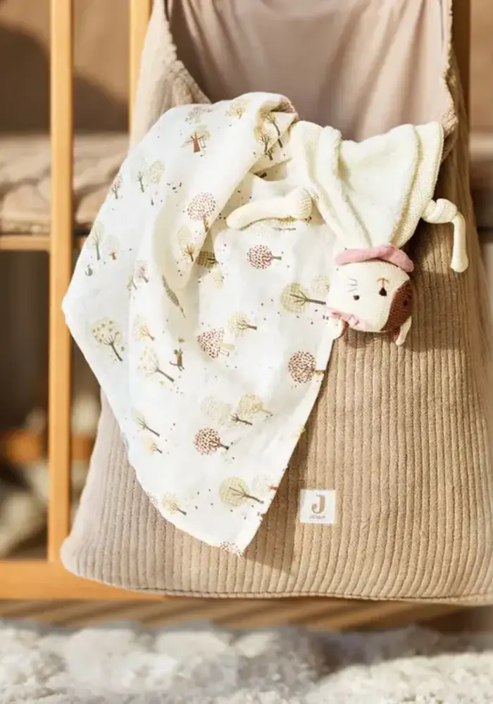 Jollein Hydrofiele Doek Large 115x115cm - Tiny Park - 2 Stuks