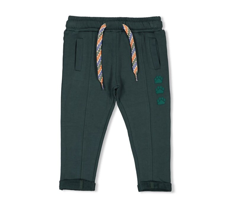 Feetje Broek - Chasing Trails Petrol