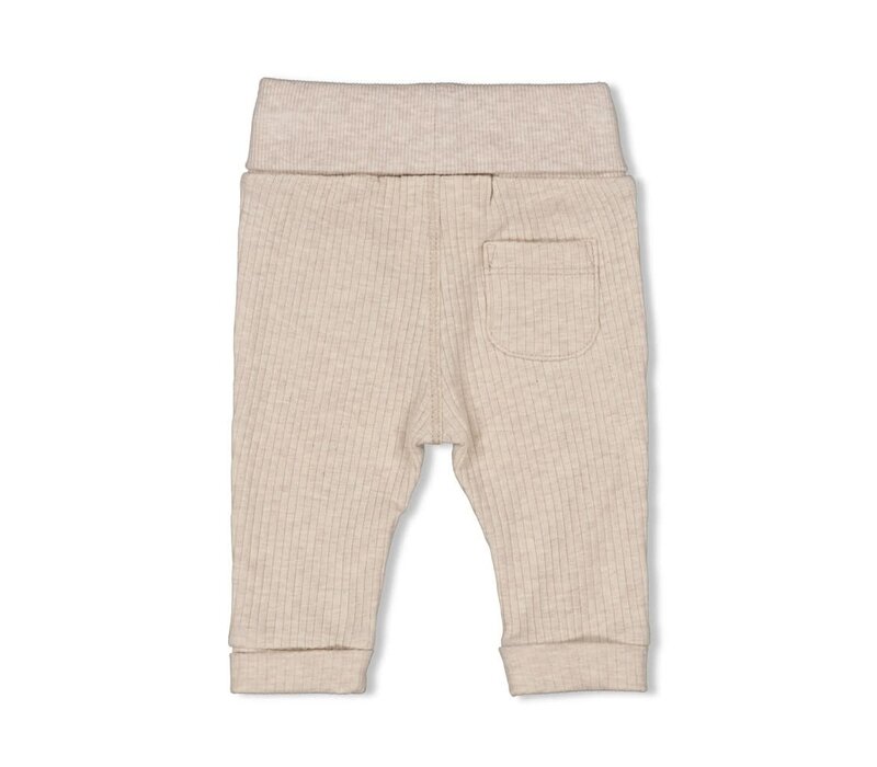 Feetje Broek rib - Dear Autumn Taupe melange